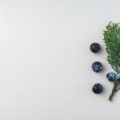 デスク周りに観葉植物を置くだけで仕事効率が向上する理由