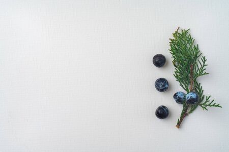 デスク周りに観葉植物を置くだけで仕事効率が向上する理由