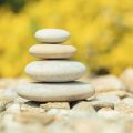 観葉植物がもたらすオフィス環境への影響と風水の基本原理