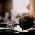 涼を呼ぶ和のインテリアアイディアと風水の基本