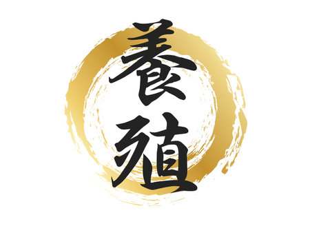 防災意識も高める！長期保存調味料の風水収納とキッチン整理のコツ