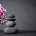 観葉植物がもたらすリビングでの気の流れ改善と具体的な設置ポイント
