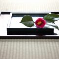玄関の清浄な気を取り入れるための風水インテリアアイディア