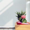 年末の浄化で幸運を呼ぶ！風水的視点から見る清めの習慣