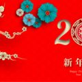観葉植物によるリビング・ダイニングの人間関係運・金運アップ術