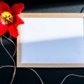 鏡にまつわる日本の伝統・風習と現代風水の融合