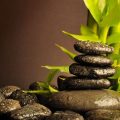観葉植物と日本の伝統的なインテリアとの融合風水術