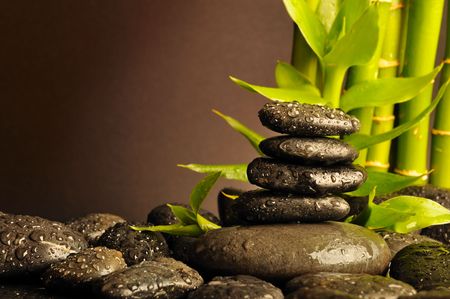 観葉植物と日本の伝統的なインテリアとの融合風水術