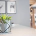 和室を併設したリビング・ダイニングでの観葉植物風水のポイント