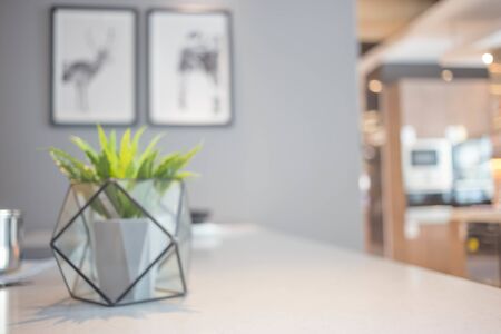 和室を併設したリビング・ダイニングでの観葉植物風水のポイント