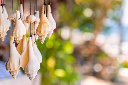 風鈴の音と夏の開運術:正しい飾り方と選び方