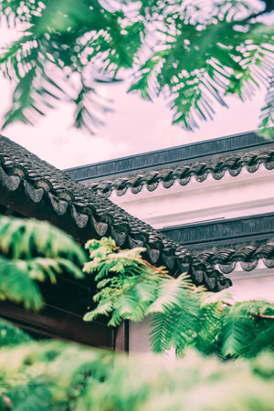 初日の出を見る方角と場所取りの風水的ベストアドバイス