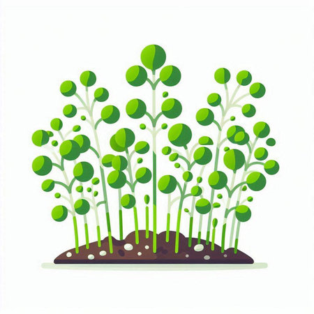 階数による運気の違いと選び方