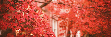 恋愛運アップを妨げる具体的な玄関の状態