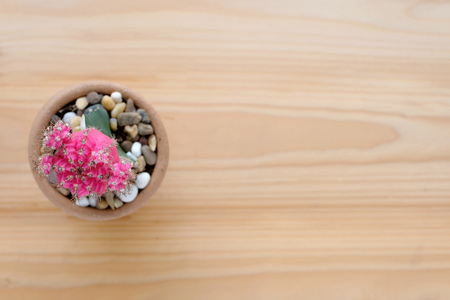 風水的にみる賃貸マンションの玄関対策と宝くじ運アップ方法