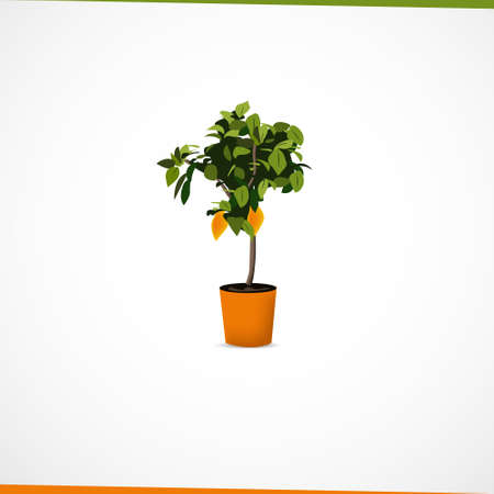 アフター:実際に金運がアップしたトイレ事例