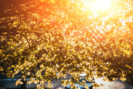 春分・秋分の家族円満を育むリビングのレイアウトポイント