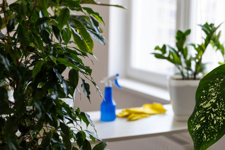 大掃除で悪い気を一掃！風水で見る窓とカーテンのお手入れ