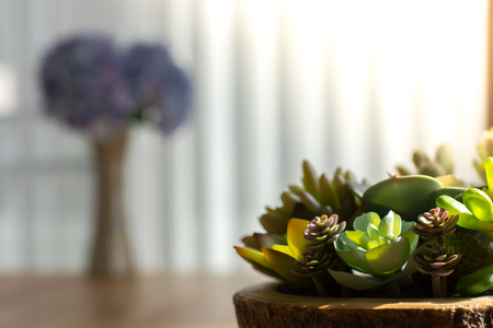 風水的観点から見る「避けるべき」壁色とポスターの注意点