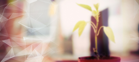 オフィス空間における植物配置のポイント