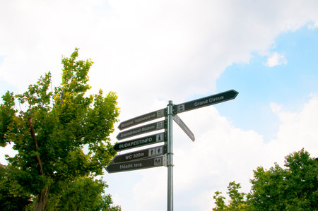 お札の入れ方・向きで金運が変わる理由と科学